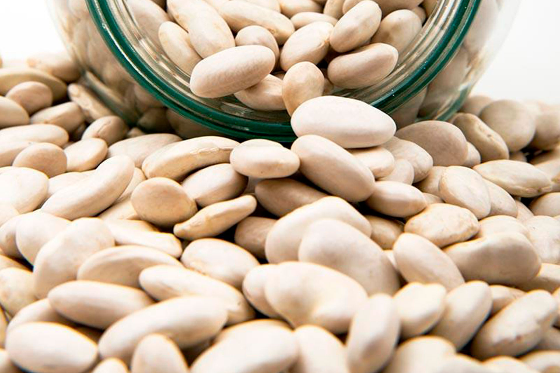 Gold Land Pulses Jumbo Lima beans