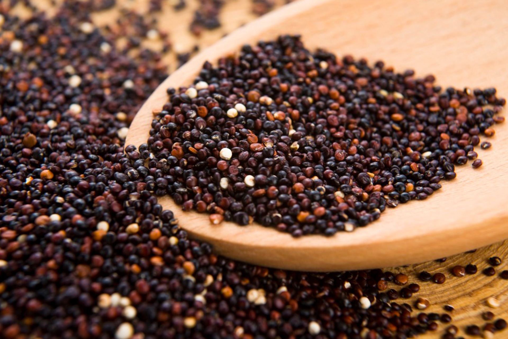 Gold Land Quinoa Black Quinoa