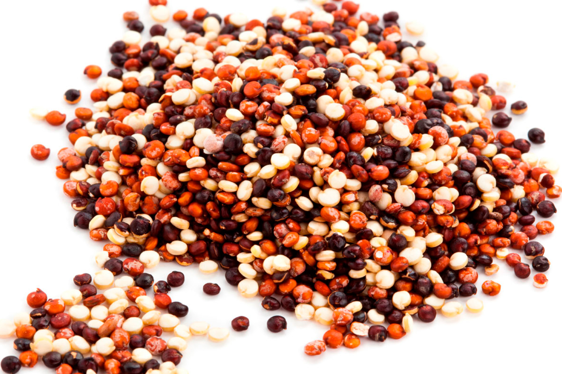 Gold Land Quinoa Tricolor Quinoa