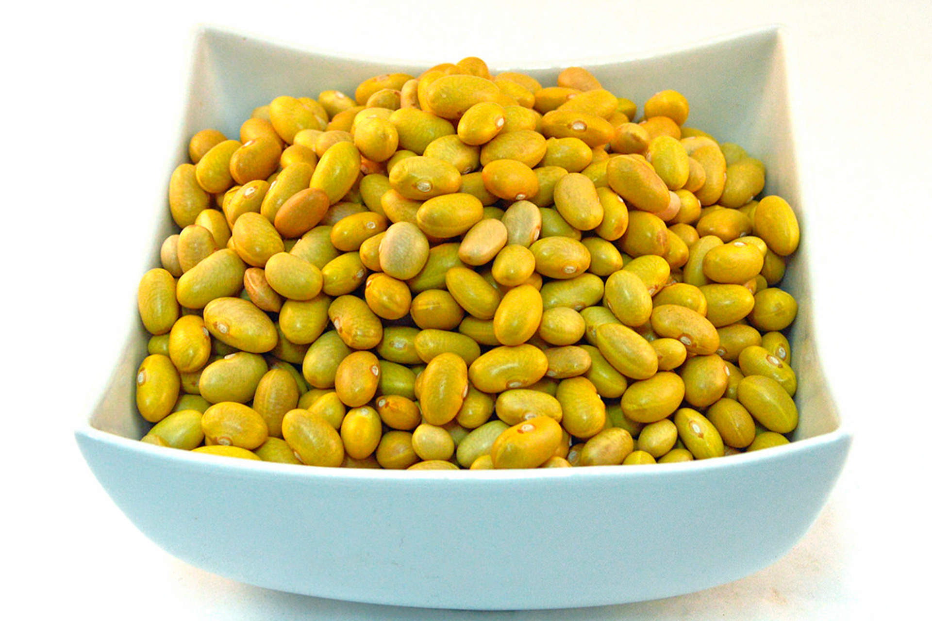 Gold Land Pulses Canary beans