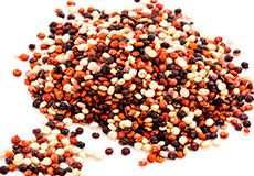 Quinua Tricolor