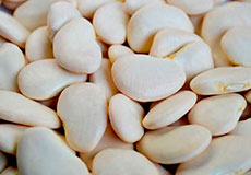 Pallar Grande
