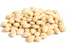 product_img13