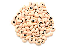 product_img2